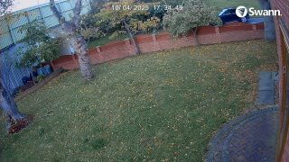 VOLKSWAGEN YR25OYK  -  CH02