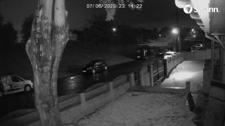 drogangii 20250706 - 224319 (plate 