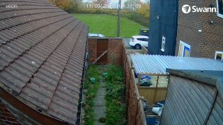 VOLKSWAGEN YO17WZA  -  vecin 