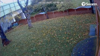 TESLA YE20VBT  -  CH02