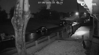 drogangii 20250706 - 224319 (plate 