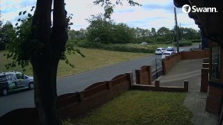 Spy BT73AYU  -  Cupra Born 