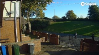 SPY CUPRA BT73AYU  -  CH05