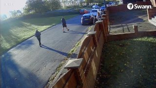 SPy CUPRA BT73AYU  -  CH06