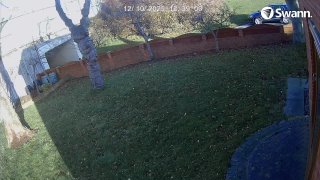 VOLKSWAGEN MA15XCH  -  CH06